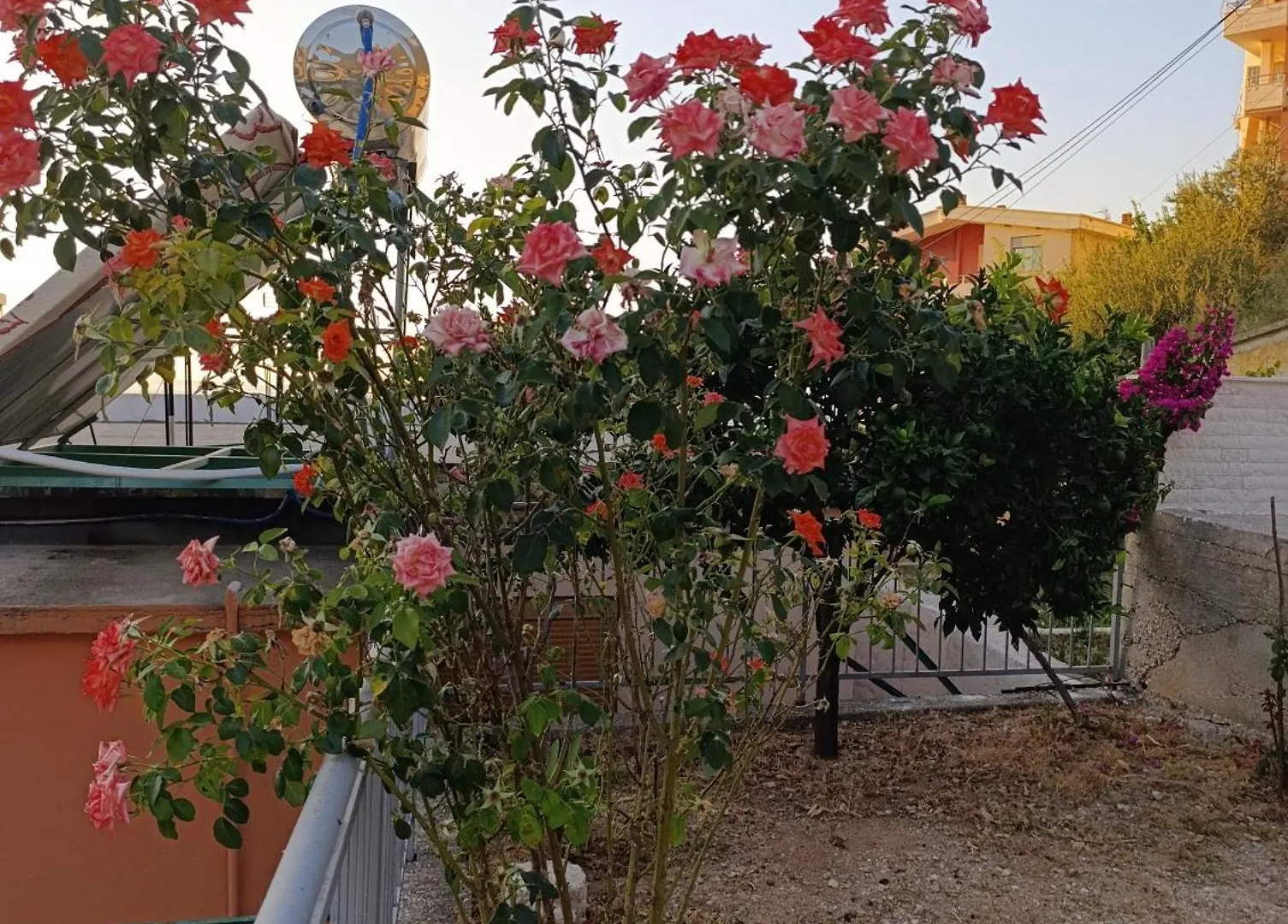 Sole Inn Vlorë 0*,